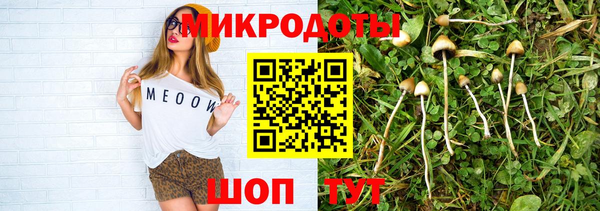 Галлюциногенные грибы MAGIC MUSHROOMS  Вход с VPN  Дмитров 