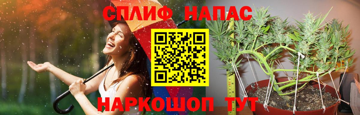 Бошки марихуана сатива  Бошки Шишки White Widow  Дмитров  Каннабис SATIVA & INDICA  Вход с VPN 
